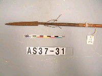 藏品(單鏃竹箭)的圖片